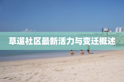草遛社区最新活力与变迁概述