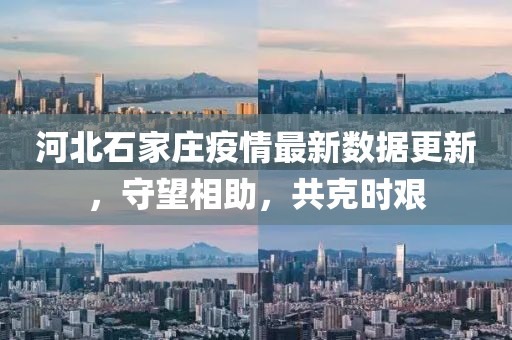 河北石家庄疫情最新数据更新，守望相助，共克时艰