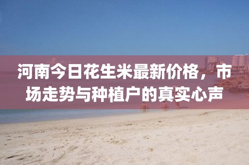河南今日花生米最新价格，市场走势与种植户的真实心声
