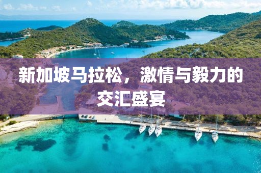 新加坡马拉松，激情与毅力的交汇盛宴