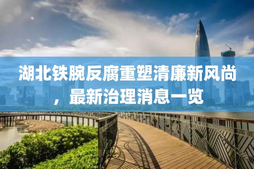 湖北铁腕反腐重塑清廉新风尚，最新治理消息一览