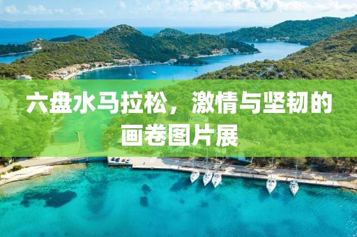 六盘水马拉松，激情与坚韧的画卷图片展