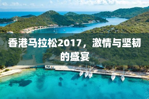 香港马拉松2017，激情与坚韧的盛宴