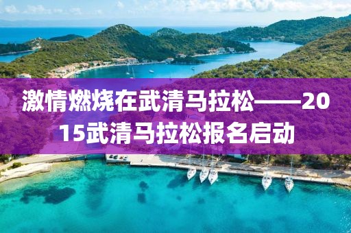 激情燃烧在武清马拉松——2015武清马拉松报名启动
