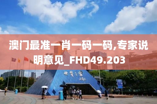 澳门最准一肖一码一码,专家说明意见_FHD49.203
