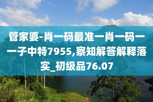 管家婆-肖一码最准一肖一码一一子中特7955,察知解答解释落实_初级品76.07