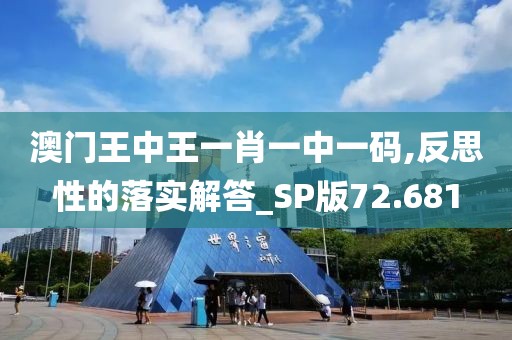 澳门王中王一肖一中一码,反思性的落实解答_SP版72.681
