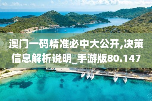 澳门一码精准必中大公开,决策信息解析说明_手游版80.147