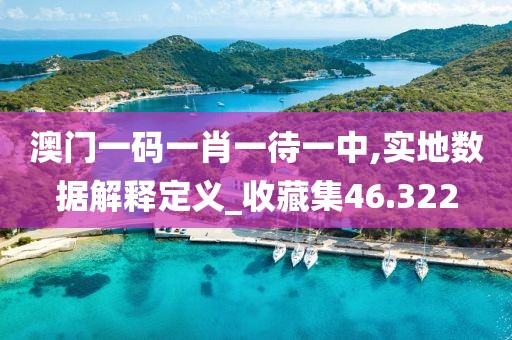 澳门一码一肖一待一中,实地数据解释定义_收藏集46.322