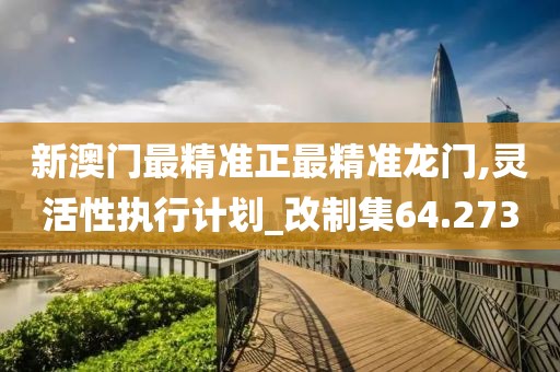 新澳门最精准正最精准龙门,灵活性执行计划_改制集64.273
