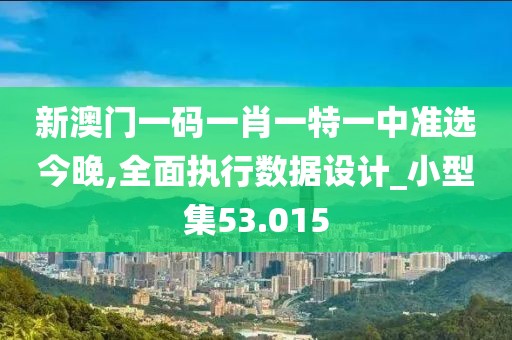新澳门一码一肖一特一中准选今晚,全面执行数据设计_小型集53.015