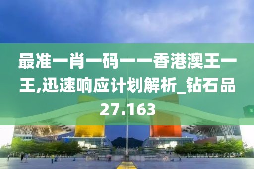 最准一肖一码一一香港澳王一王,迅速响应计划解析_钻石品27.163