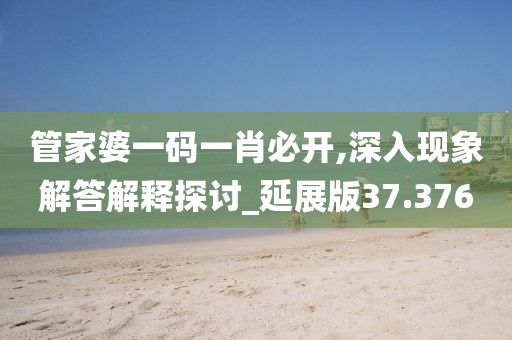 管家婆一码一肖必开,深入现象解答解释探讨_延展版37.376