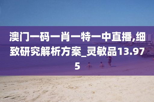 澳门一码一肖一特一中直播,细致研究解析方案_灵敏品13.975