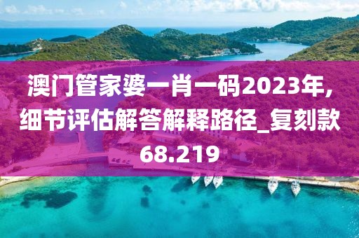澳门管家婆一肖一码2023年,细节评估解答解释路径_复刻款68.219