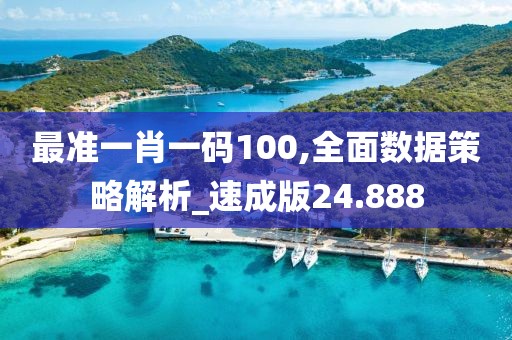 最准一肖一码100,全面数据策略解析_速成版24.888