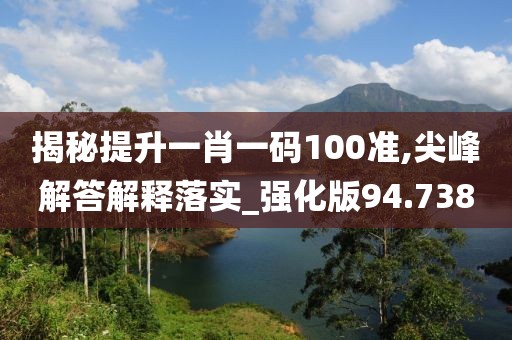 揭秘提升一肖一码100准,尖峰解答解释落实_强化版94.738
