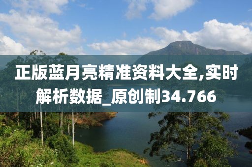 正版蓝月亮精准资料大全,实时解析数据_原创制34.766