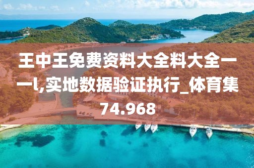 王中王免费资料大全料大全一一l,实地数据验证执行_体育集74.968
