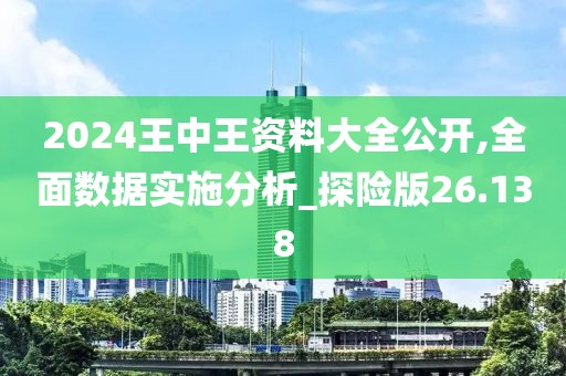 2024王中王资料大全公开,全面数据实施分析_探险版26.138