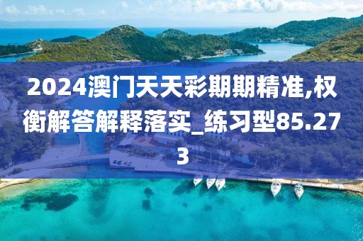 2024澳门天天彩期期精准,权衡解答解释落实_练习型85.273