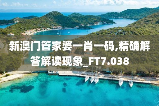 新澳门管家婆一肖一码,精确解答解读现象_FT7.038