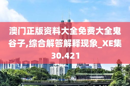 澳门正版资料大全免费大全鬼谷子,综合解答解释现象_XE集30.421