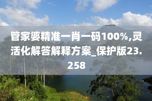 管家婆精准一肖一码100%,灵活化解答解释方案_保护版23.258