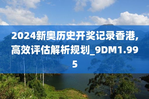 2024新奥历史开奖记录香港,高效评估解析规划_9DM1.995