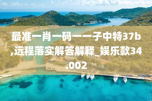 最准一肖一码一一子中特37b,远程落实解答解释_娱乐款34.002