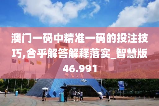 澳门一码中精准一码的投注技巧,合乎解答解释落实_智慧版46.991