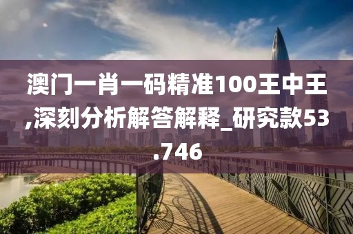 澳门一肖一码精准100王中王,深刻分析解答解释_研究款53.746