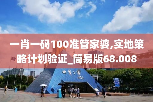 一肖一码100准管家婆,实地策略计划验证_简易版68.008
