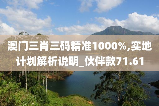 澳门三肖三码精准1000%,实地计划解析说明_伙伴款71.61