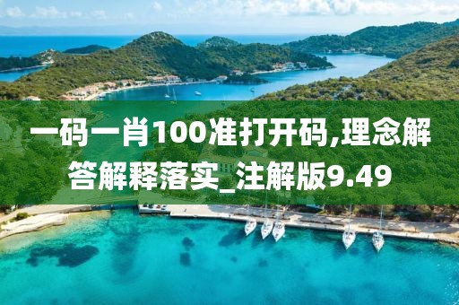 一码一肖100准打开码,理念解答解释落实_注解版9.49