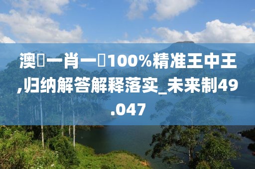 澳門一肖一碼100%精准王中王,归纳解答解释落实_未来制49.047