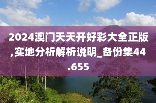 2024澳门天天开好彩大全正版,实地分析解析说明_备份集44.655