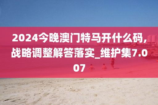 2024今晚澳门特马开什么码,战略调整解答落实_维护集7.007