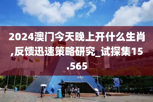 2024澳门今天晚上开什么生肖,反馈迅速策略研究_试探集15.565