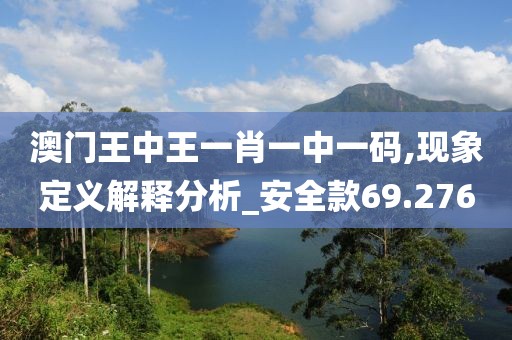 澳门王中王一肖一中一码,现象定义解释分析_安全款69.276