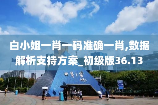 白小姐一肖一码准确一肖,数据解析支持方案_初级版36.13