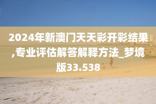 2024年新澳门天天彩开彩结果,专业评估解答解释方法_梦境版33.538