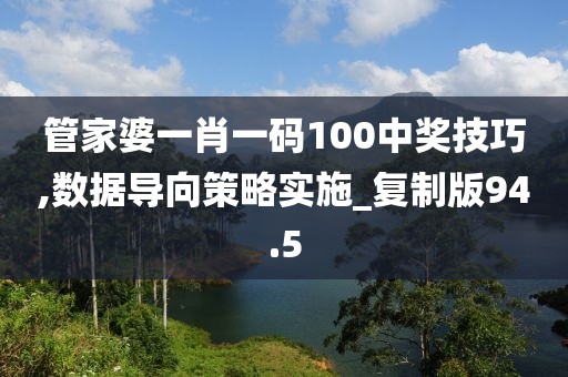 管家婆一肖一码100中奖技巧,数据导向策略实施_复制版94.5