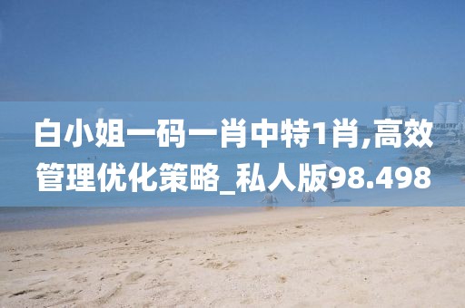 白小姐一码一肖中特1肖,高效管理优化策略_私人版98.498