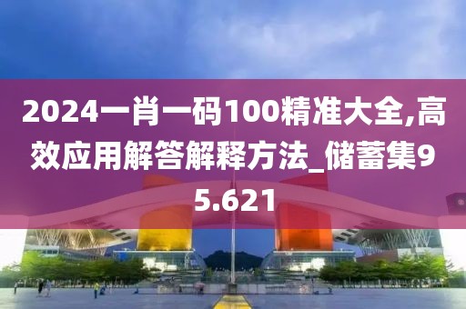 2024一肖一码100精准大全,高效应用解答解释方法_储蓄集95.621