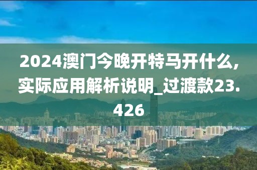 2024澳门今晚开特马开什么,实际应用解析说明_过渡款23.426