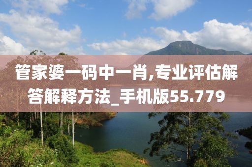 管家婆一码中一肖,专业评估解答解释方法_手机版55.779