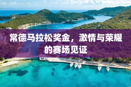 常德马拉松奖金，激情与荣耀的赛场见证