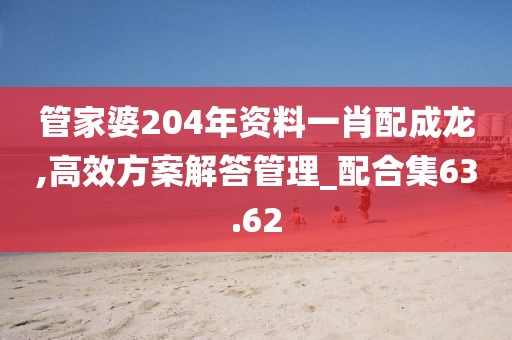 管家婆204年资料一肖配成龙,高效方案解答管理_配合集63.62