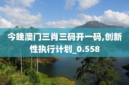 今晚澳门三肖三码开一码,创新性执行计划_0.558